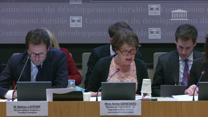 12 000 victimes du loup par an : 'C'est stable, mais nous non !'