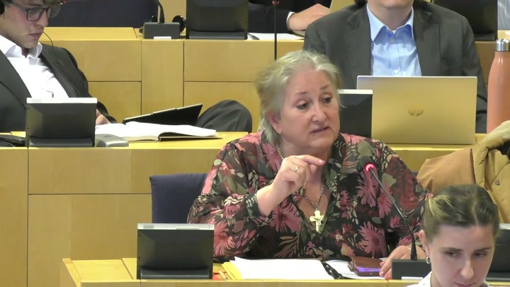 Barriers to Foreign AV Giants: Protect EU Data and Tech?