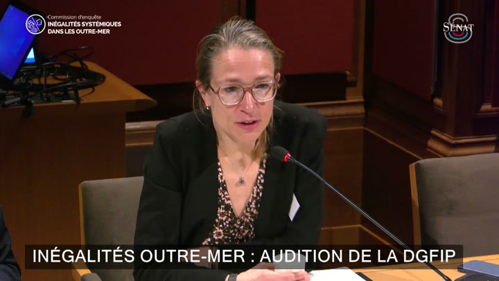 Abus dans les aides à l'investissement outre-mer