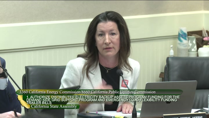 Ratepayers vs Taxpayers: Funding Debate Heats Up on DSGS Program