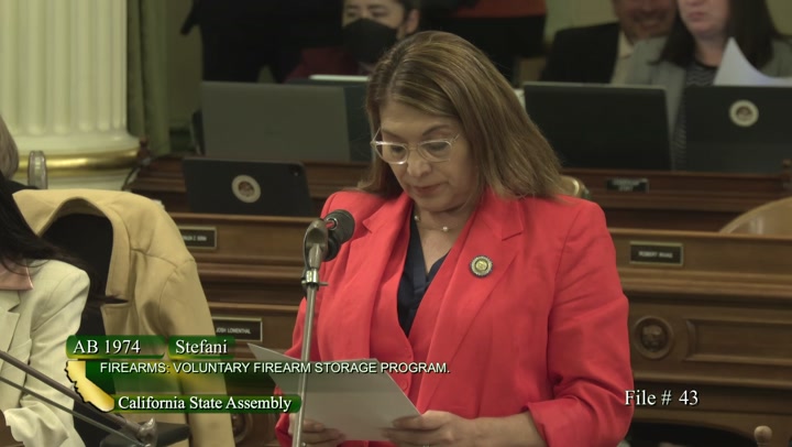 Quirk-Silva's Heartbreaking Gun Violence Testimony