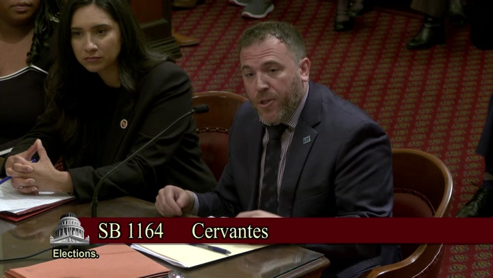 Expert Explains Vote Dilution: 'Your Vote Might Be Drowned Out'